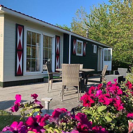 Chalet Op Vakantiepark In Baarland Villa Kültér fotó